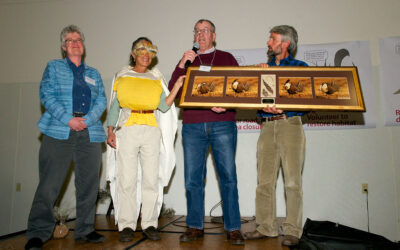 My Gunnison Sage-grouse photos as award