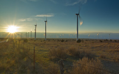 Is wind energy environmentally friendly? Maybe, maybe not …