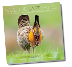 Save the Last Dance Book