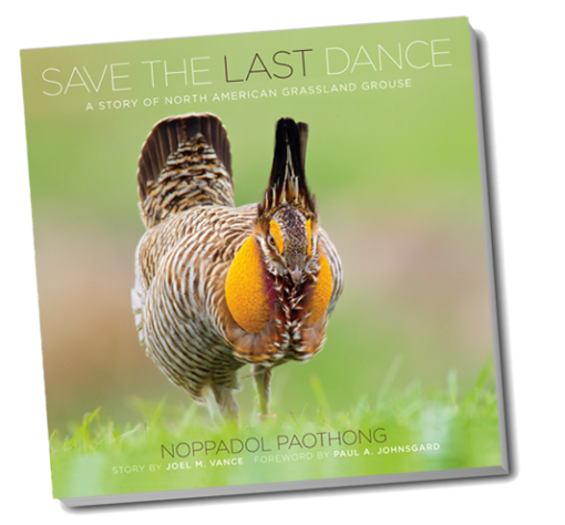 Save the Last Dance Book