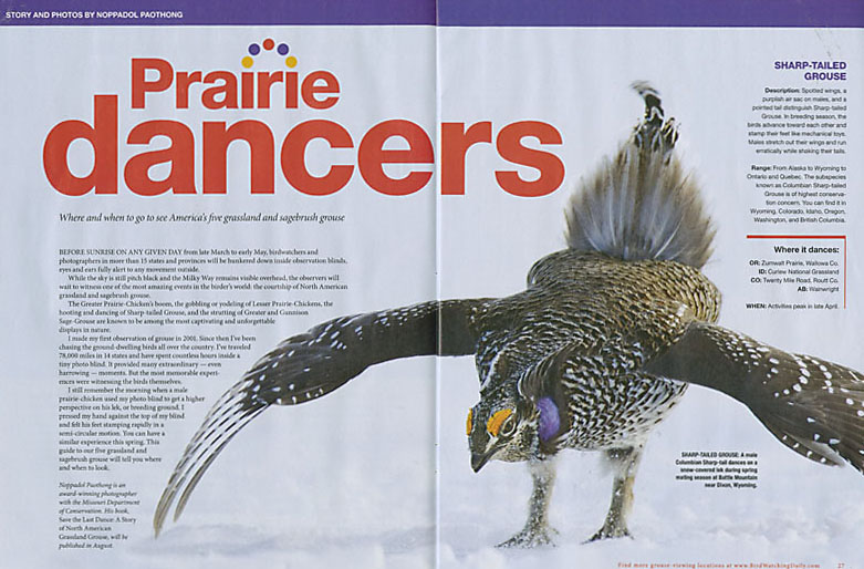 Prairie Dancers – Featured Story in the BirdWatching Magazine