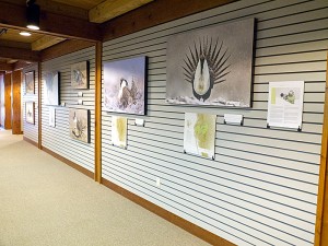Exhibit at the Runge Nature Center (Jefferson City, Missouri)