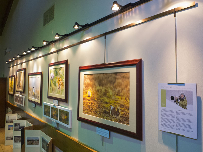 Exhibit at the Springfield Nature Center2