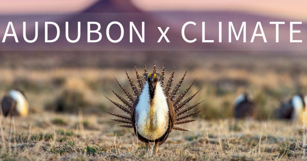 National Audubon Pop Up Gallery