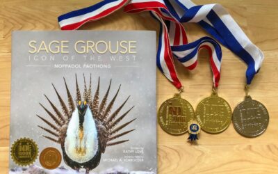 Grand Prize in Indie Book Awards