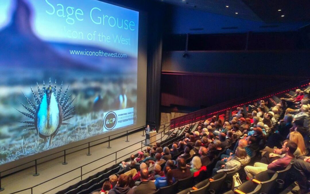 Sage Grouse, Icon of the West program, at Denver Museum of Nature and Science